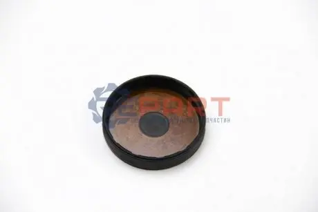 Заглушка ГБЦ 57.3x10.5 RENAULT 7700106271 Купити в Україні