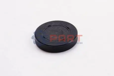 Заглушка ГБЦ 42.5x9 мм RENAULT 7700274026 Купити в Україні