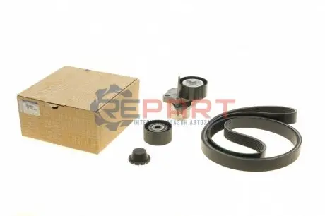 Фото Ролик приводного ремня RENAULT (7701476645) изображение 1