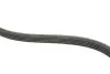 Фото Комплект ременя генератора Renault Kangoo 1.4i/1.6i 97 RENAULT (7701477522) зображення 4