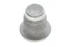 Фото Пробка масляного поддона Trafic/Vivaro/Movano 16x1.5mm (с магнитом) RENAULT (7703075348) изображение 1