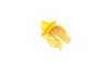 Розпорка опори капоту DACIA DOKKER, DUSTER, LODGY, LOGAN II, SANDERO II FIAT TALENTO NISSAN NV300 OPEL VIVARO B CAPTUR I, CAPTUR II, CLIO IV, CLIO V, KANGOO BE BOP 0.9-Electric 10.07 RENAULT (7703179096) зображення 1