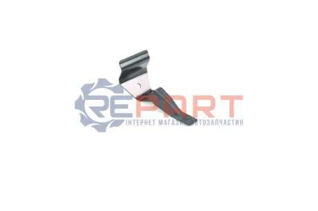 Елемент кузова RENAULT 8200638054 Купити в Україні
