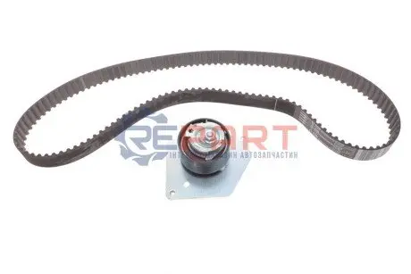 Комплект ГРМ (ремінь + ролик) GRAND SCENIC III, MEGANE, MEGANE III, SCENIC III SUZUKI GRAND VITARA II 1.9D 10.05-09.16 RENAULT 8201038625 Купити в Україні