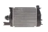 Радіатор інтеркулера Renault Clio/Dacia Logan/Dokker 1.5dCi 12- (незначне пошкодження) RENAULT (DSC_144967634R) зображення 5