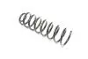 Пружина RD.28110011