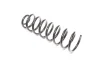 Фото Пружина RIDER (RD.28110011) зображення 2