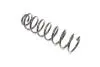 Пружина RD28110051