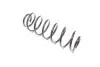 Пружина RD28110079