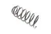 Пружина RD34110095