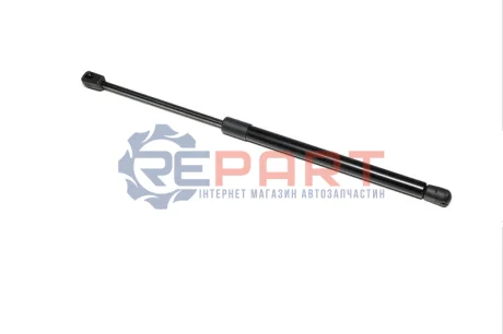 Амортизатор багажника HYUNDAI SANTA FE 06-12 RIDER RD.62ML6169 Купити в Україні
