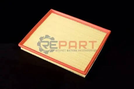 Фото Повітряний фільтр RIDER (REC200409) зображення 1