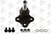 Фото Опора кульова (передня/знизу) Dacia Duster/Renault Duster 1.2-2.0 10 Rodrunner (BJDC334) зображення 1