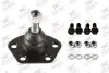 Фото Опора кульова (передня/знизу) Citroen Jumper/Fiat Ducato/Peugeot Boxer 94-02 (1.4t) Rodrunner (BJF762) зображення 1