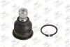 Фото Опора кульова (передня/знизу) Nissan Qashqai/X-Trail 07-/Murano 03- (d=20mm) Rodrunner (BJN450) зображення 1