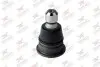Фото Опора кульова (передня/знизу) Nissan Qashqai/Renault Kadjar/Koleos 07 Rodrunner (BJN900) зображення 1
