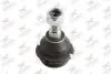 Фото Опора кульова (передня/знизу) Citroen C5 01-/Xantia 93-03/Peugeot 405 92-96/406 95-04/607 00-11 Rodrunner (BJP106) зображення 1