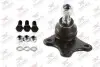 Фото Опора кульова (передня/знизу/ззовні/R) Audi A2/Skoda Fabia/Roomster/VW Polo 99-10 Rodrunner (BJSK405K) зображення 1