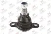 Фото Опора кульова (передня/знизу) VW T5/Multivan V 03-15/T6/Multivan VI 15 Rodrunner (BJV745) зображення 1