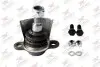 Фото Опора кульова (передня/знизу) Ford Galaxy 95-06/Seat Alhambra 96-10/VW Sharan 95-10 Rodrunner (BJV755) зображення 1