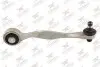 Рычаг подвески Rodrunner (TCA514AK) изображение 1