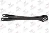 Фото Рычаг подвески Rodrunner (TCB376) изображение 1