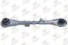 Фото Рычаг подвески Rodrunner (TCP477) изображение 1