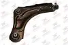 Фото Рычаг подвески Rodrunner (TCR678) изображение 1