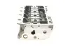 Фото Головка блока цилиндров Audi Q3/VW Caddy IV/Golf VII 1.4 TSI 11- (внутри OE VAG) ROTWEISS (04E103064F) изображение 4