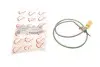 Фото Датчик температури ВГ Audi A3/Skoda Octavia/VW Golf VI/Tiguan 2.0 TDI 04-15 (всередині OE VAG) ROTWEISS (04L906088EM) зображення 1