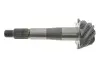Главная пара в мост Nissan Navara (37x8) ROTWEISS (38100F5680) изображение 2