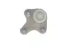 Фото Опора кульова (передня/знизу/L) Audi A3/Skoda Octavia III/VW Caddy IV/Golf VII 12- (всередині OE VAG) ROTWEISS (5Q0407365A) зображення 2