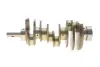 Коленчатый вал MB Sprinter (W906) 3.0 CDI (OM642) 06 ROTWEISS (6420302601) изображение 1