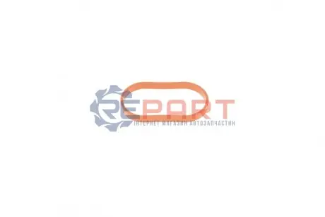 Прокладка колектора впускного MB A(W177)/B(W247)/Renault Scenic/Kadjar/Megane 1.0/1.3 18- (всередині OE) ROTWEISS 8201721557 Купити в Україні