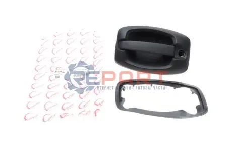 Ручка дверей (передніх) (L) Citroen Jumper/Fiat Ducato/Peugeot Boxer 06 ROTWEISS 9101.CY Купити в Україні