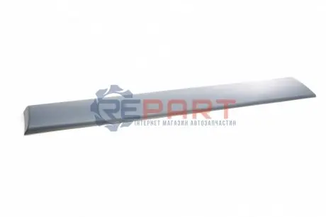 Молдинг кузова ROTWEISS DSC_RWS1160-1 Купить в Украине