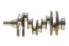 Фото Колінчастий вал Land Rover Discovery/Range Rover 3.0 SD V6 05 ROTWEISS (LR038168) зображення 1