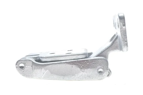 Петля дверей (задніх/нижня/R/270°) MB Sprinter/VW Crafter 06 ROTWEISS RW74007