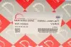 Обманка поворота MB Vario (L) ROTWEISS (RW82053) изображение 6