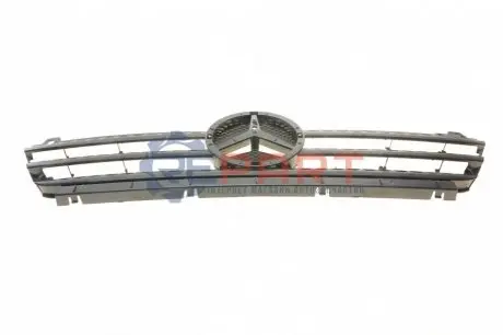 Решетка радиатора ROTWEISS RW88015 Купить в Украине