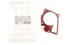 Фото Прокладка помпи води Renault Kangoo 1.5 dCi 01- ROTWEISS (RWS10426) зображення 2