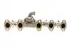 Коллектор выпускной VW T5 2.5TDI 03- (070253017A) ROTWEISS (RWS1106) изображение 6