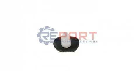 Кліпса кріплення обшивки Citroen Jumper/Peugeot Boxer/Fiat Ducato 01-06 ROTWEISS RWS1839 Купити в Україні