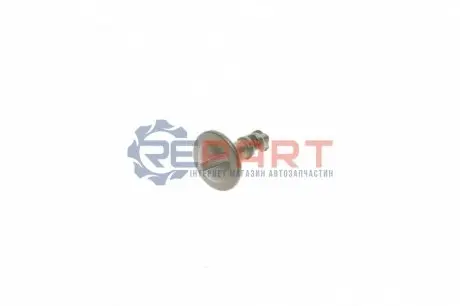 Кліпса кріплення Audi A6/ VW Passat 96-05 (папа) ROTWEISS RWS1840 Купити в Україні