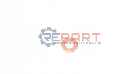 Шайба під форсунку Fiat Doblo 1.3JTD (7x15x1.56) ROTWEISS RWS1869 Купити в Україні