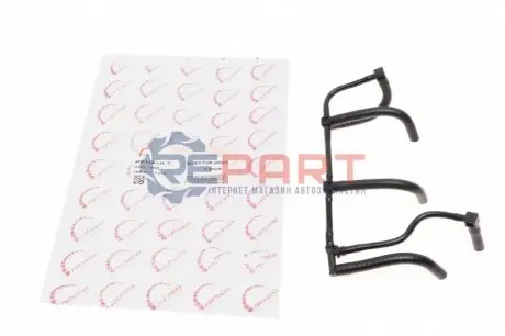 Шланг зливний Renault Kangoo/Megane III/Dacia Duster 1.5dCi 08- ROTWEISS RWS1899 Купити в Україні