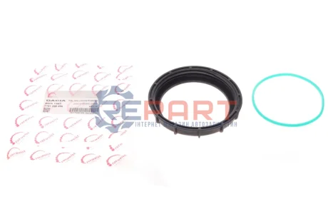 Кришка насосу паливного Dacia Logan 04- (+ кільце) ROTWEISS RWS1963 Купити в Україні