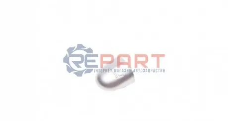 Заглушка ручки дверей (L) Renault Laguna/Megane/Scenic 03-09 (сіра) ROTWEISS RWS1971 Купити в Україні