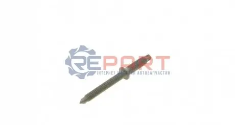 Болт кріплення форсунки Citroen Berlingo 1.6 HDI/Ford Focus 1.6TDCI 01-12 ROTWEISS RWS2074 Купити в Україні