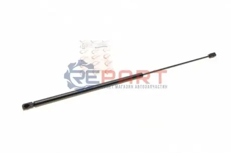Амортизатор кришки багажника Ford Transit/Connect 00-06 ROTWEISS RWS2091 Купити в Україні